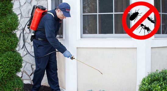 Yenifakılı Gümüşkurt İlaçlama böcek ilaçlama ve haşere kontrolü — ilaclama-tr.com